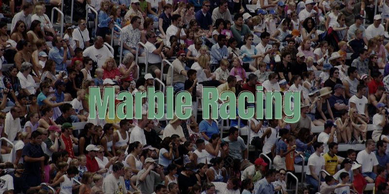 An image of Marble racing is going viral these days thanks to its exciting competitions