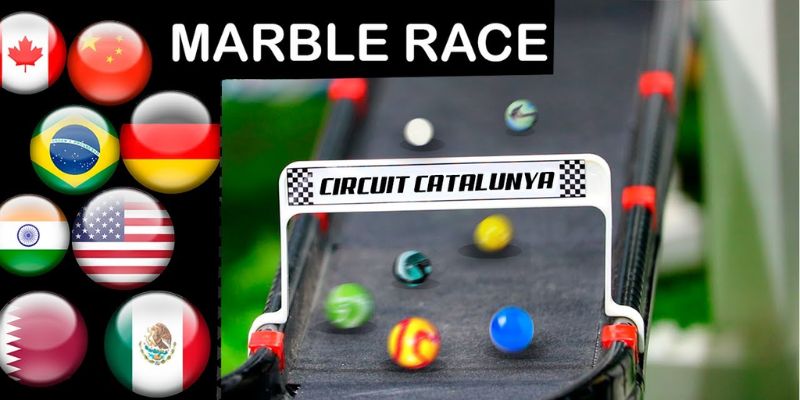 An image of YouTube is a premier platform for watching marble race live streams.