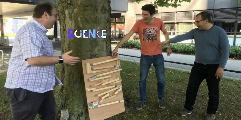 An image of Understand the science behind marble run engineering