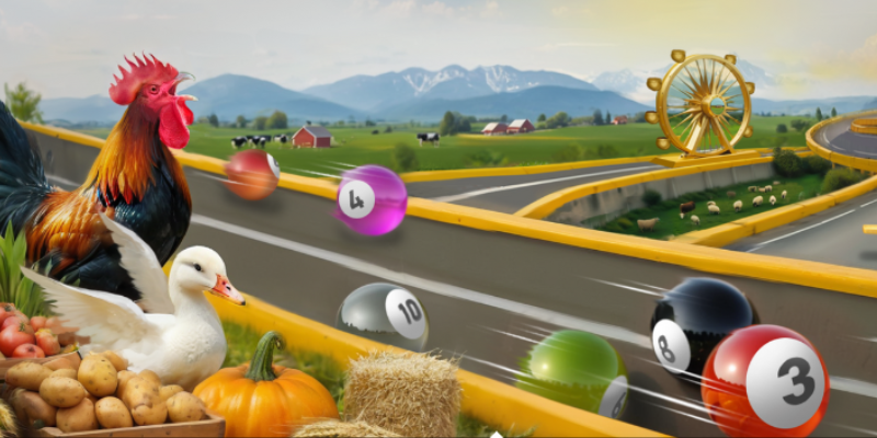 Best Marble Race Track Exclusively at Marble Magic