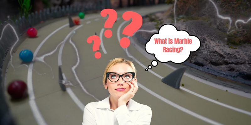 What is Marble Racing? Explore the World of Marble Races